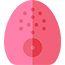 facial cleaning brush icon-2
